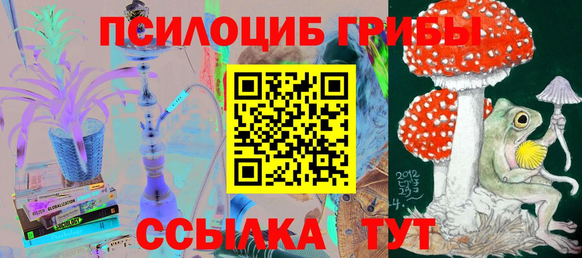 Псилоцибиновые грибы Psilocybine cubensis  Псилоцибиновые грибы MAGIC MUSHROOMS  Вход с VPN  Мыски 